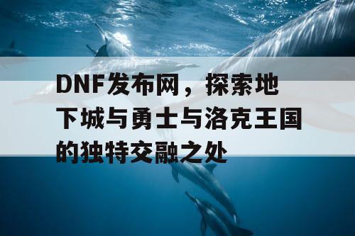 DNF发布网，探索地下城与勇士与洛克王国的独特交融之处