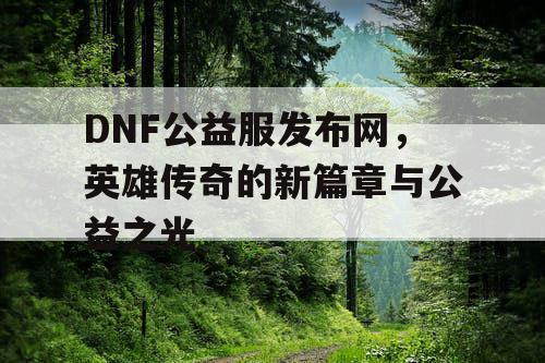 DNF公益服发布网，英雄传奇的新篇章与公益之光