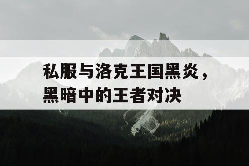 私服与洛克王国黑炎，黑暗中的王者对决