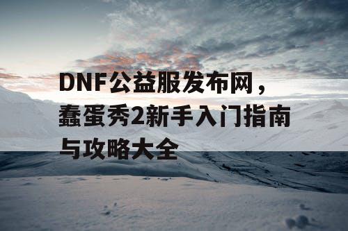 DNF公益服发布网，蠢蛋秀2新手入门指南与攻略大全