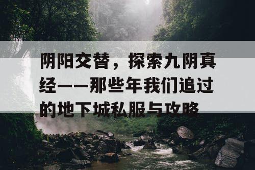 阴阳交替，探索九阴真经——那些年我们追过的地下城私服与攻略