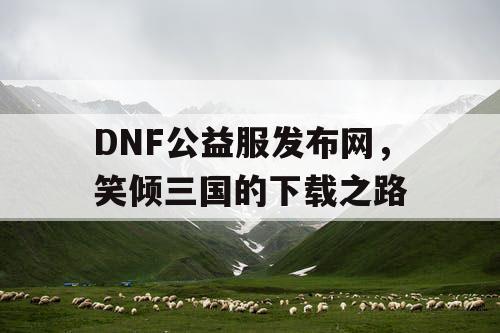 DNF公益服发布网，笑倾三国的下载之路