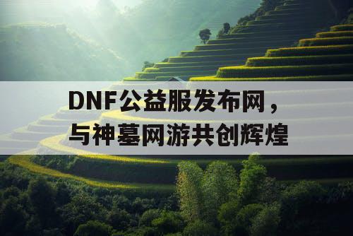 DNF公益服发布网，与神墓网游共创辉煌